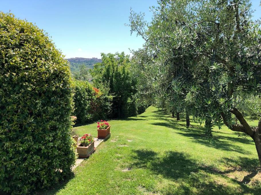 Lolia Farmhouse With Olive Grove And Hot Tub Villa Montegallo  Eksteriør billede