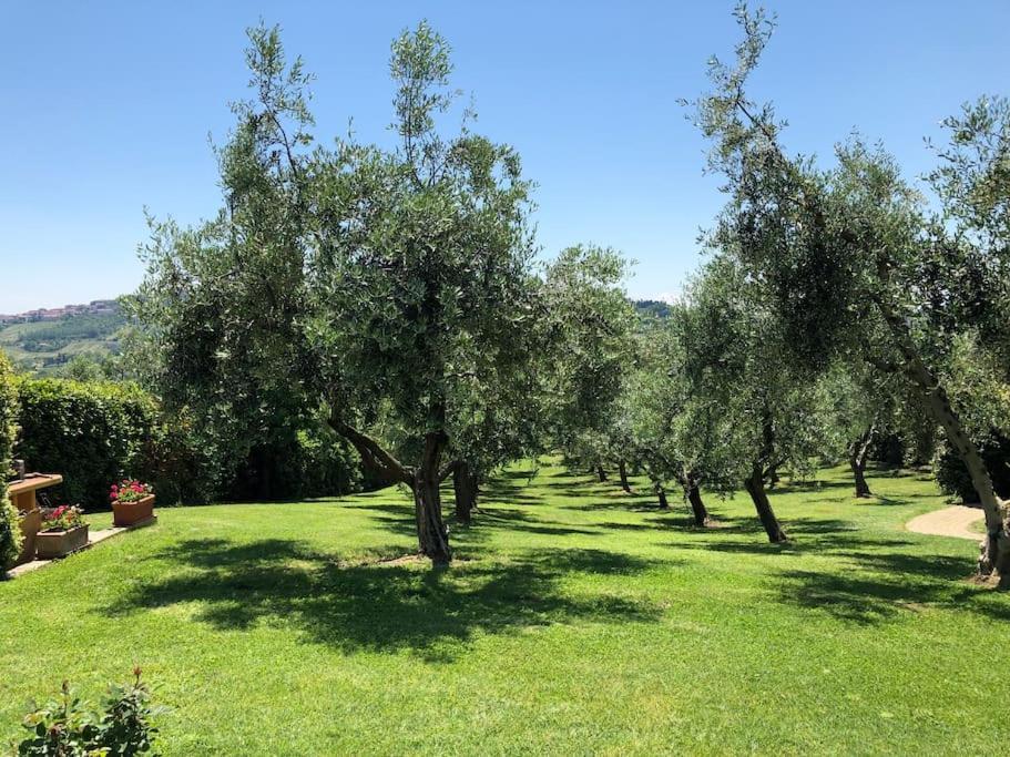 Lolia Farmhouse With Olive Grove And Hot Tub Villa Montegallo  Eksteriør billede